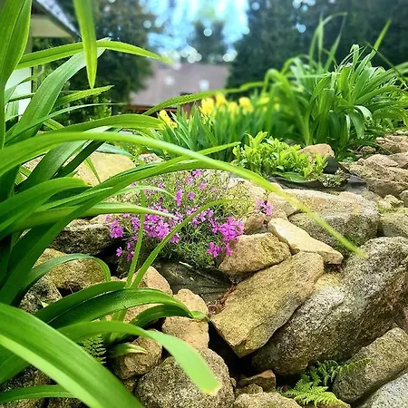 Apartamento Góralka *