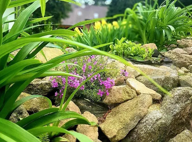 Apartament Góralka *